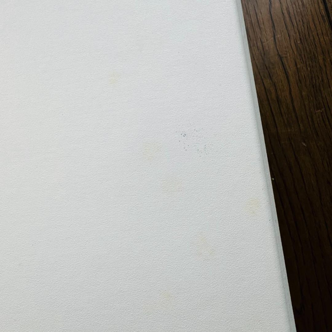 P-MODEL「太陽系亞種音(太陽系亜種音)」CD 旧パッケージ