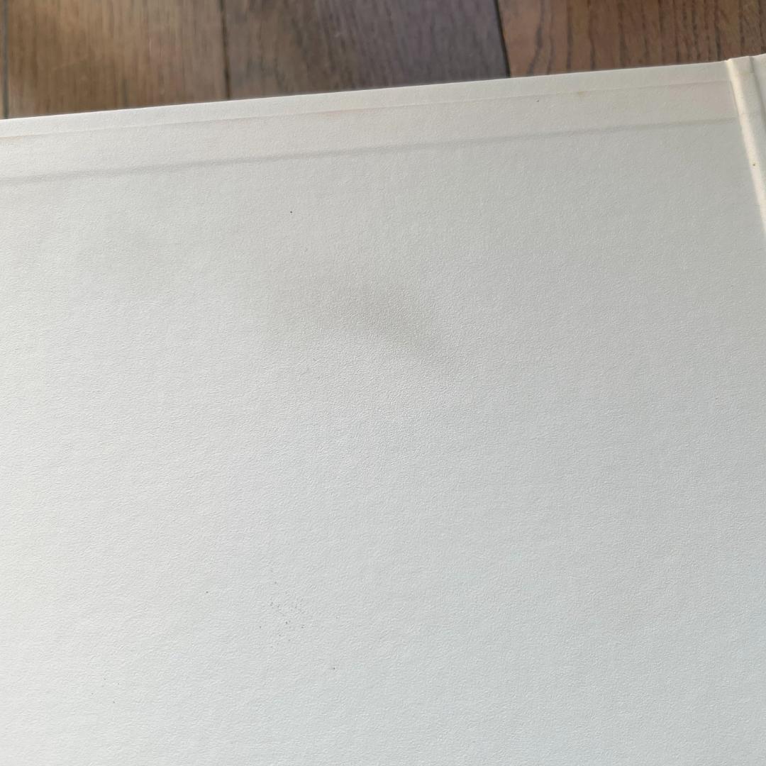 P-MODEL「太陽系亞種音(太陽系亜種音)」CD 旧パッケージ