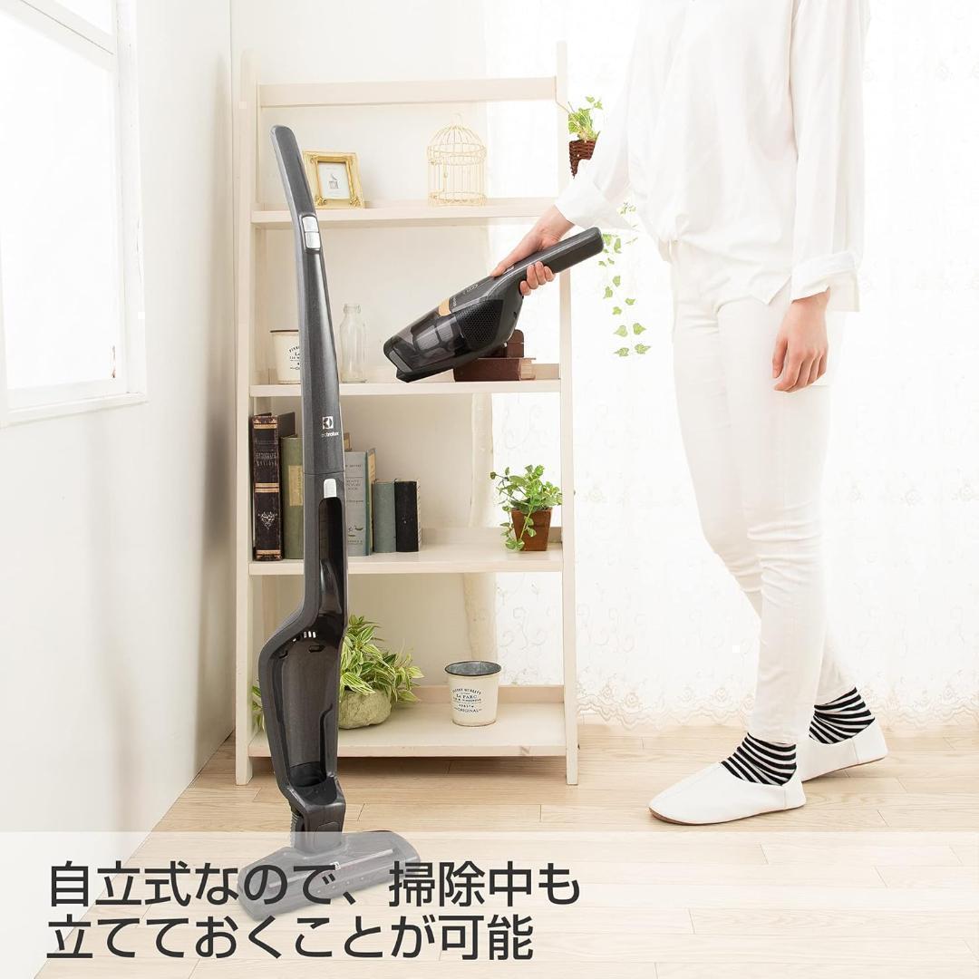 Electrolux エレクトロラックス クリーナー 掃除機 ZB3502IG