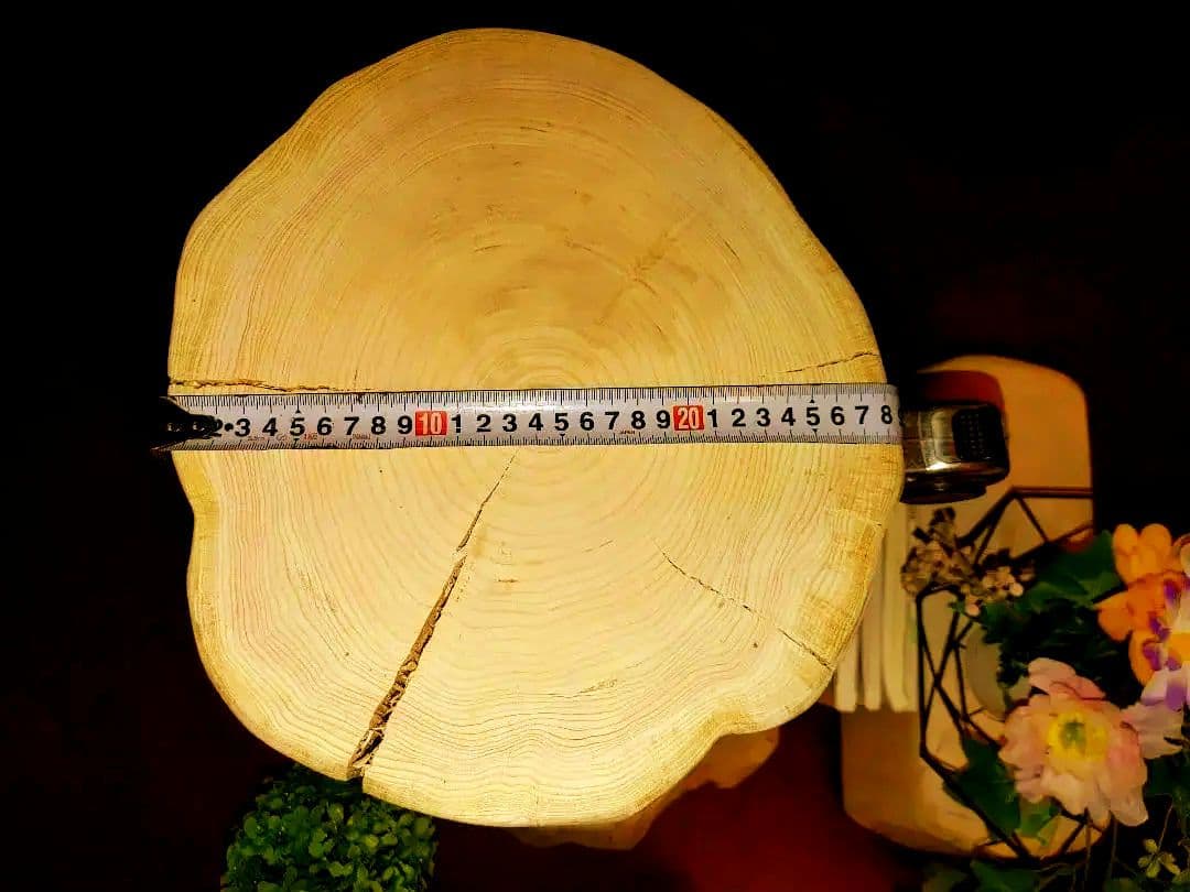 大型 切り株 ひのき くりぬき 親子 本立て 椅子 スツール テーブル高46cm