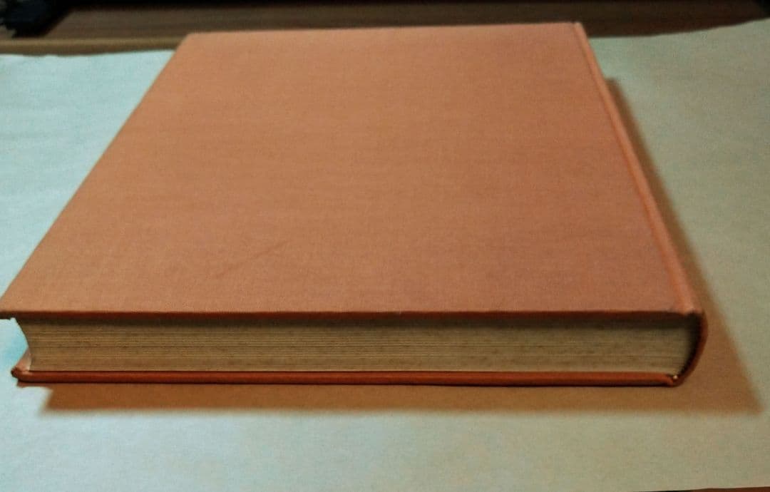 HENRI MATISSE 版画カタログ・レゾネ1