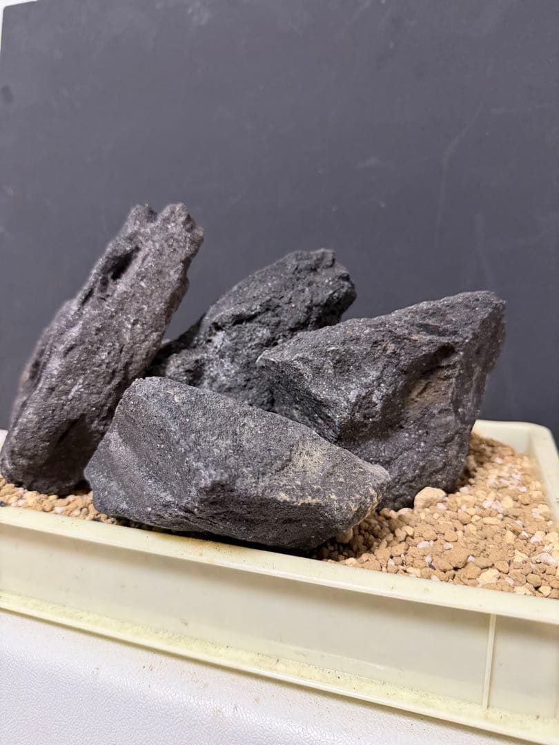 ⑧ADA山水石 組合せ！オススメ！