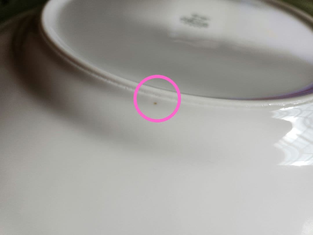 ジノリ サックスフラワー 12枚 丸皿 大皿 セット 27cm 19cm