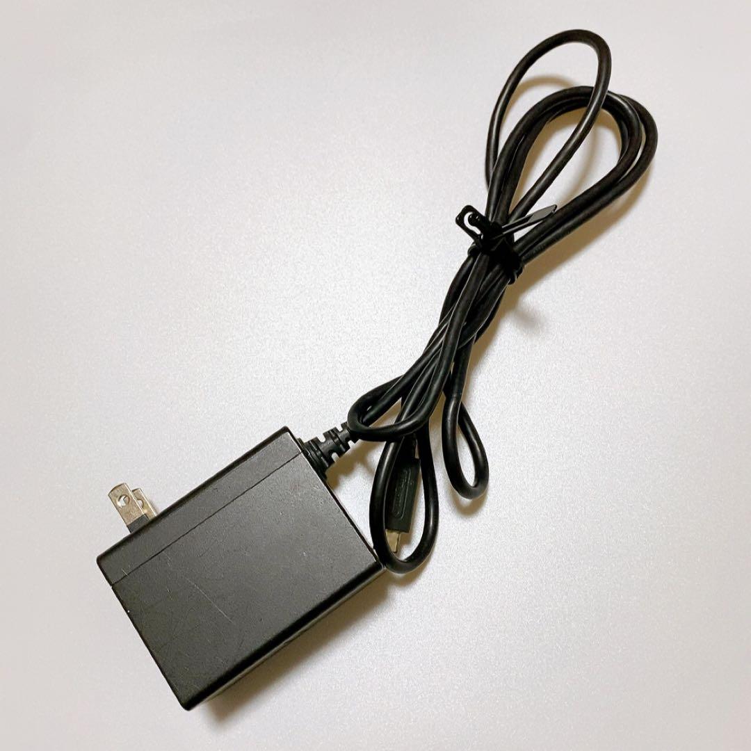 Nintendo Switch 本体 あつまれどうぶつの森