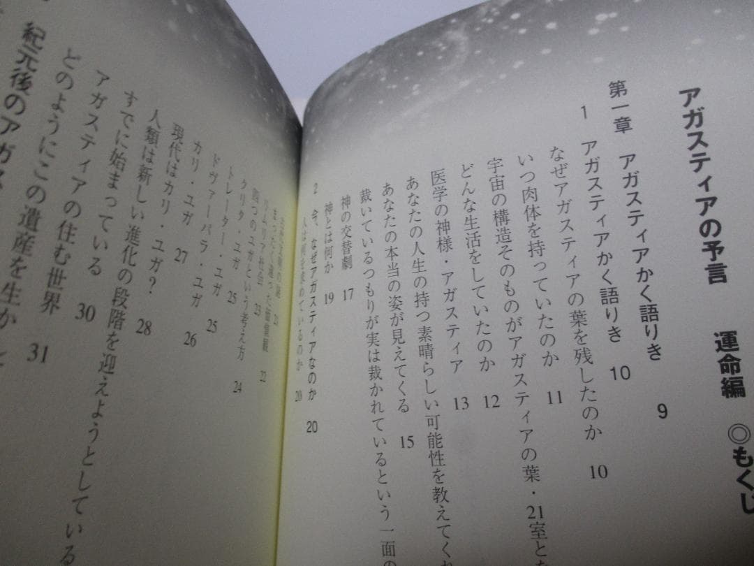 アガスティアの予言 運命編