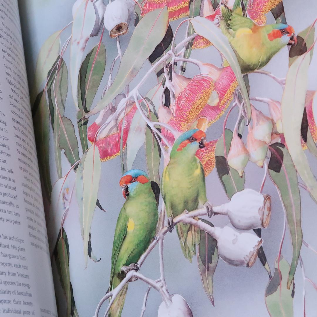 特別価格！ Feather and Brush：オーストラリア鳥類芸術300年