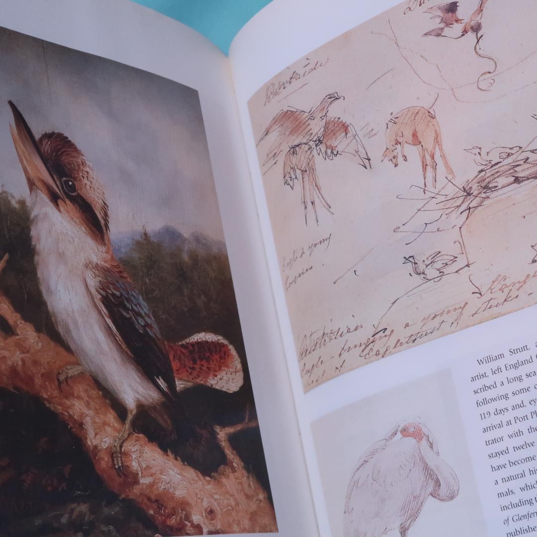 特別価格！ Feather and Brush：オーストラリア鳥類芸術300年