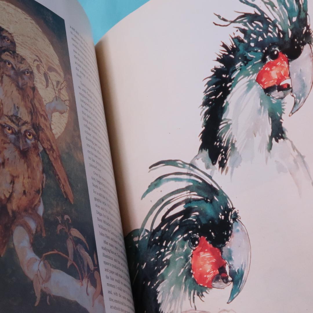 特別価格！ Feather and Brush：オーストラリア鳥類芸術300年