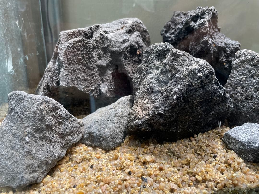 ADA 山水石　苔石