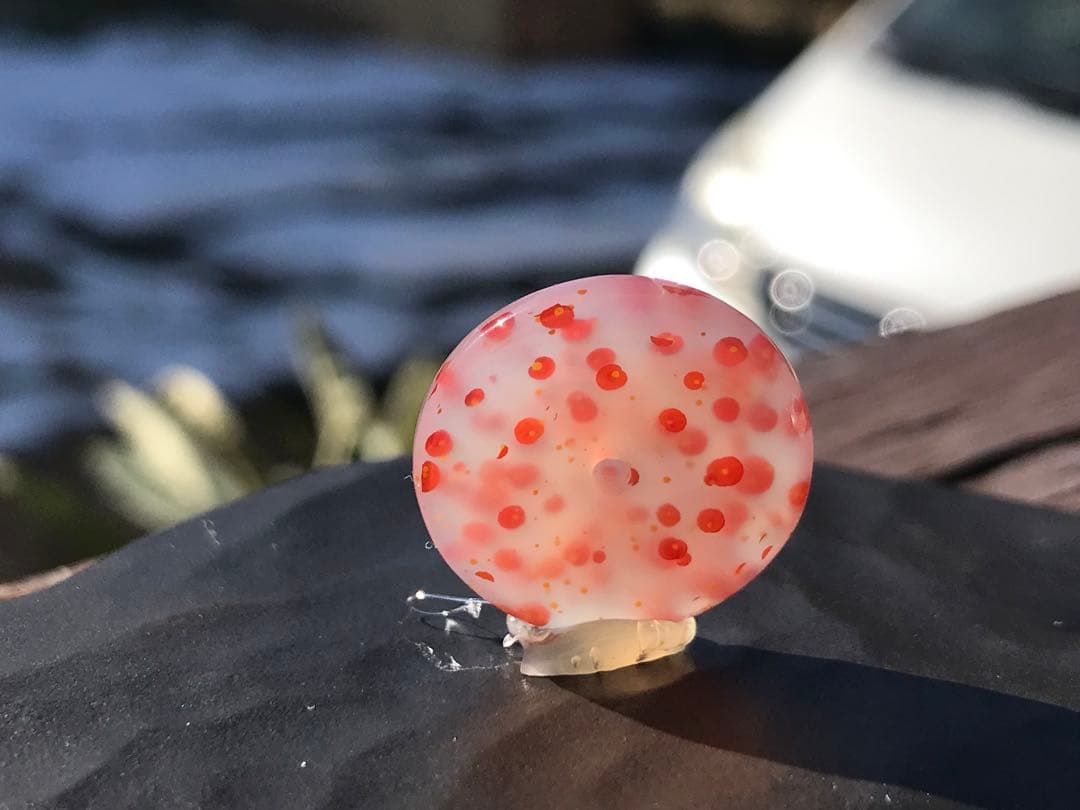 ゴビ石−1205 ゴビ瑪瑙『平安扣』 水玉模様　ペンダントトップ