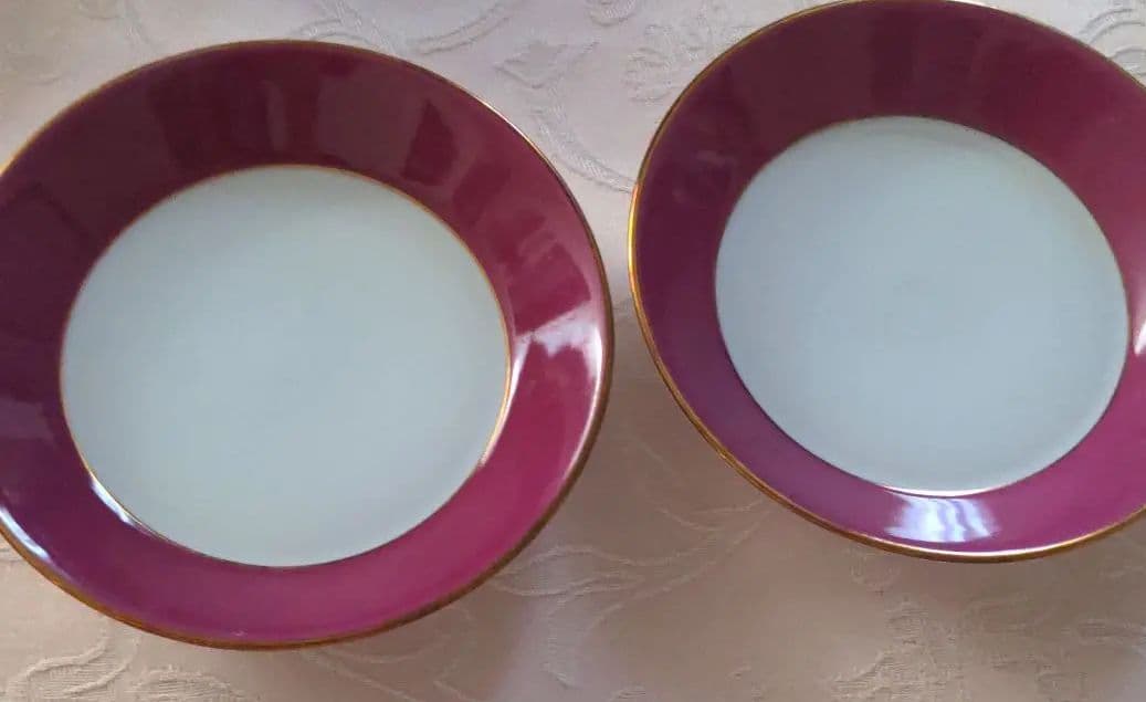 リチャード　ジノリ　インベロ　カメリア未使用二人用カップとケーキ皿