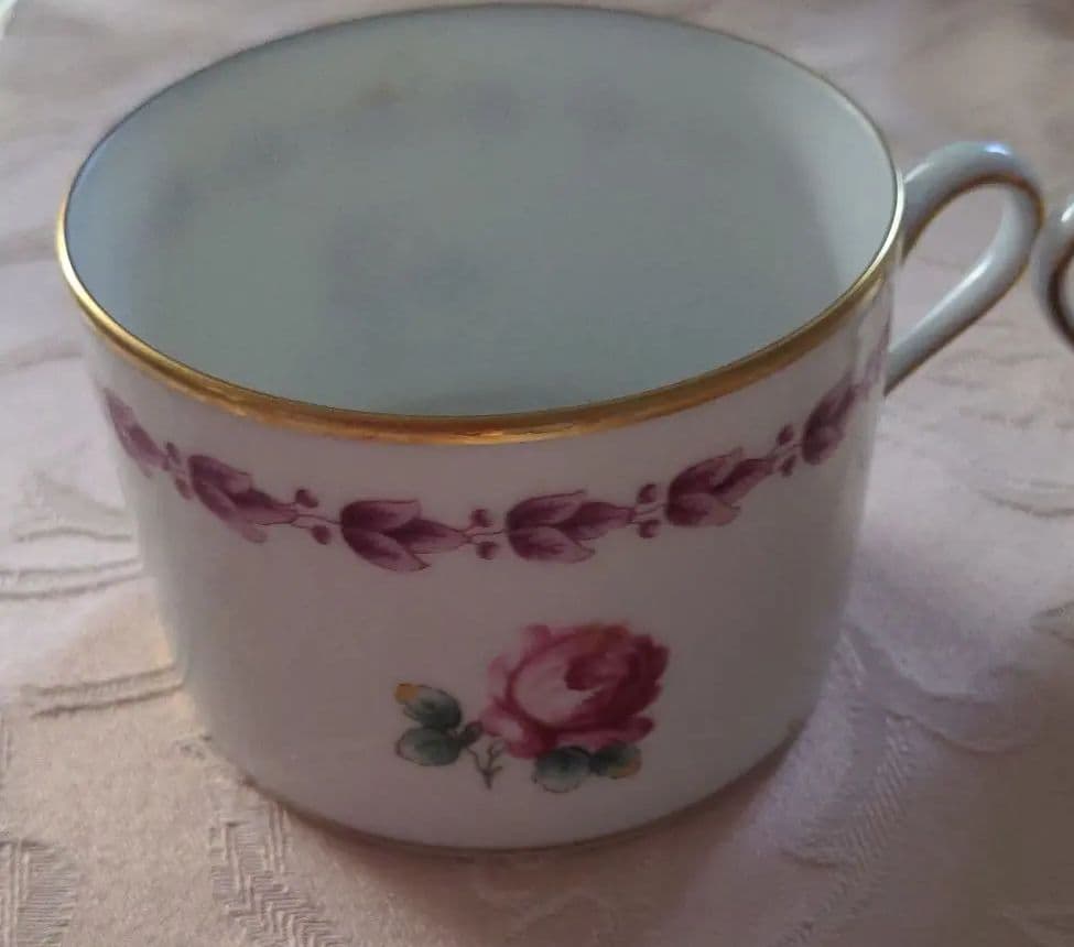 リチャード　ジノリ　インベロ　カメリア未使用二人用カップとケーキ皿