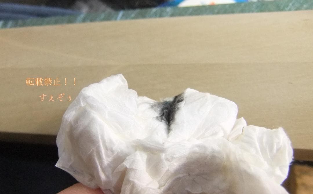 隆久　本鍛錬料理包丁 磨き 柳刃240ｍｍ水牛口 鞘付　手研本刃付済