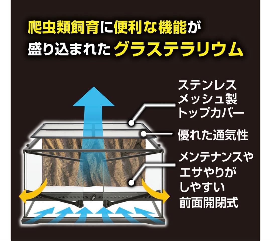 GLASS TERRARIUM 6030 飼育セット