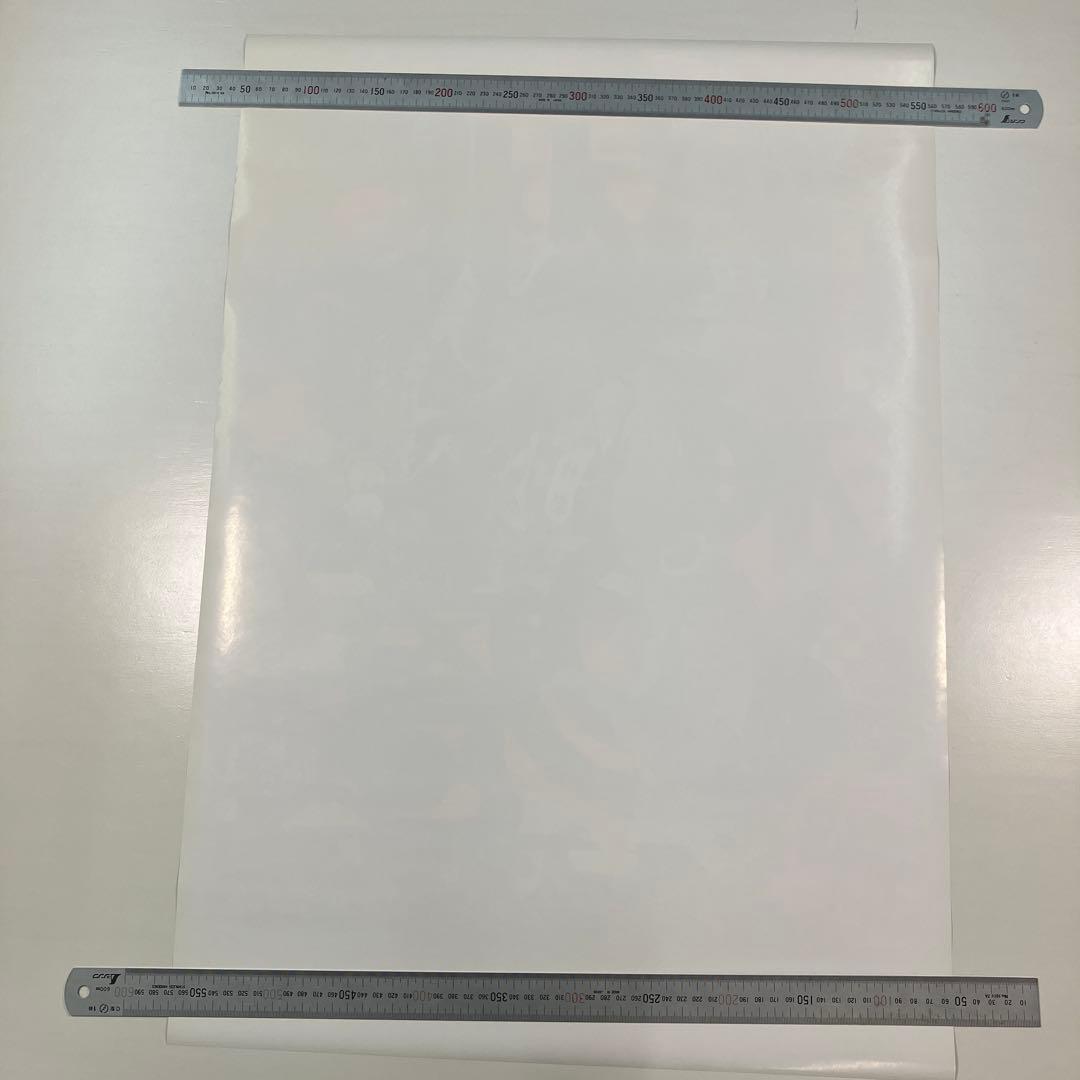 ももクロ夏のバカ騒ぎ2014 ~桃神祭~　店頭告知 B2ポスター