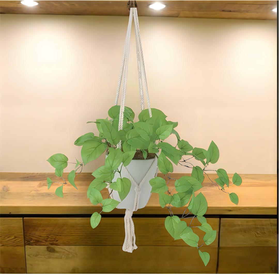 光触媒　人工観葉植物　ウォールグリーン　フェイクグリーン　壁掛けライムポトス