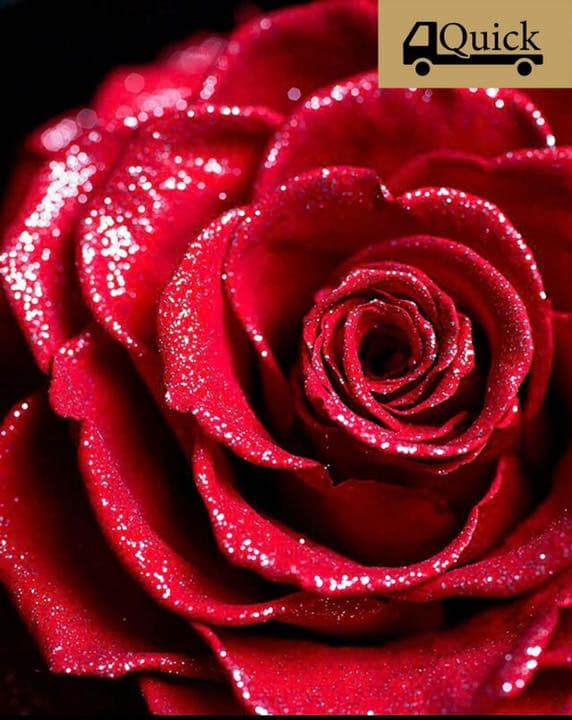 ROSE GALLERY GINZA プリザードフラワー