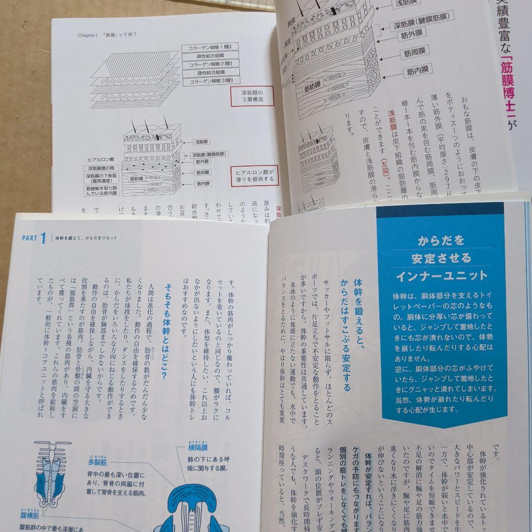 自分でできる!筋膜リリースパーフェクトガイド　体幹　腰痛　痛みコリ　ストレッチ