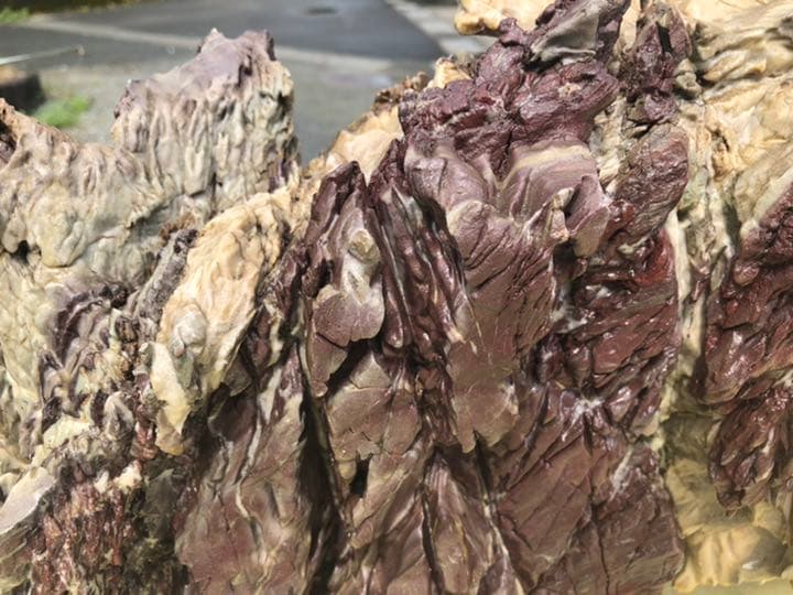 鎧石 赤石 鑑賞石