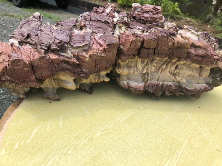 鎧石 赤石 鑑賞石