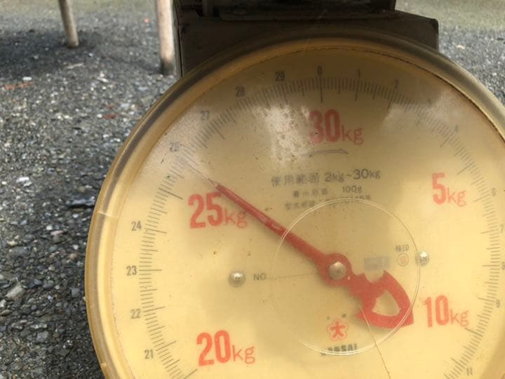 鎧石 赤石 鑑賞石