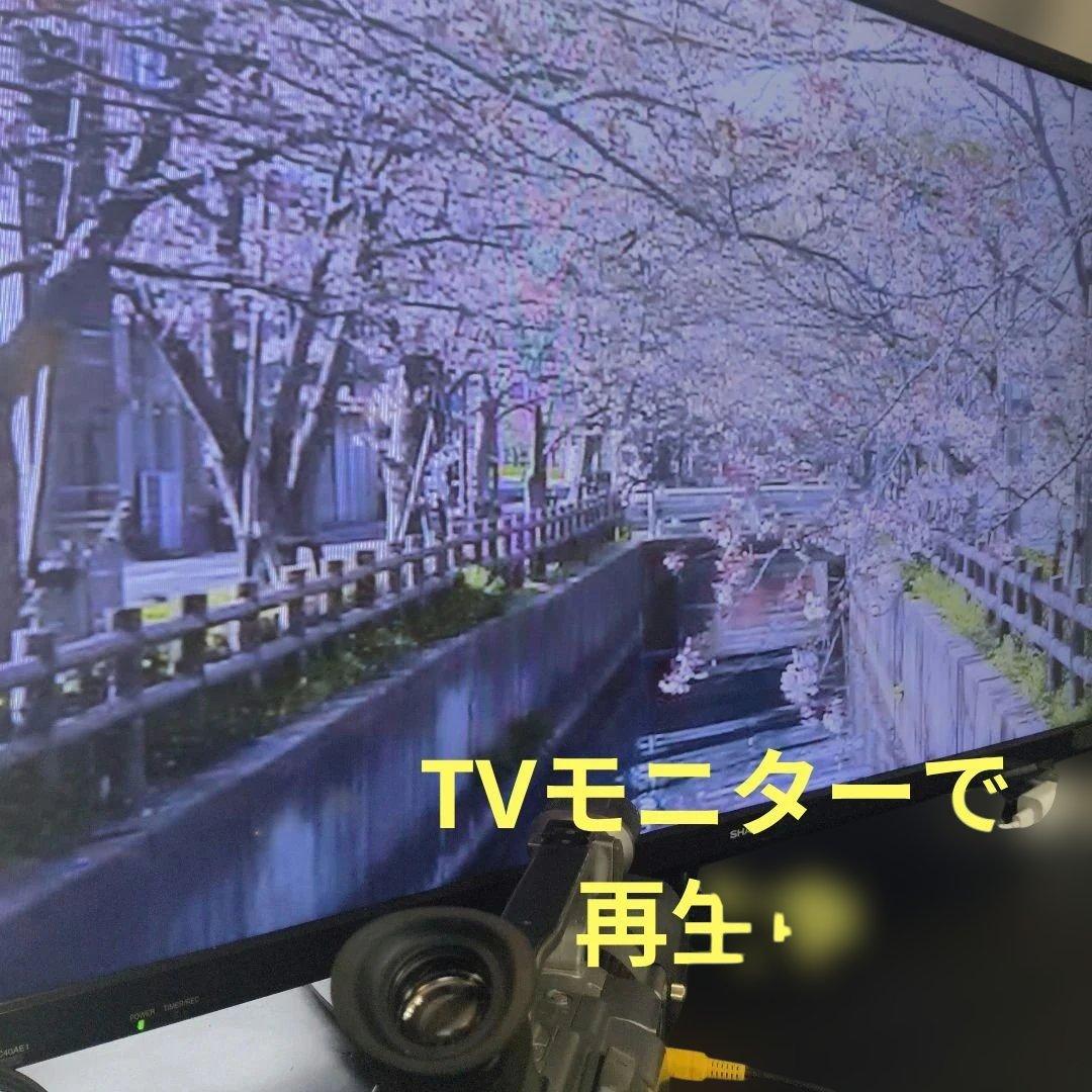 【動作確認済】SONY ソニー DCR-VX1000 Mini DV