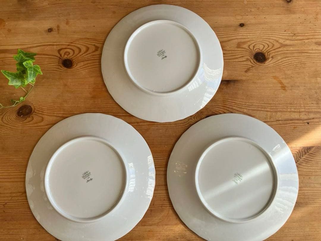 ジノリ　ベッキオグレース　24.5ディナープレート×3