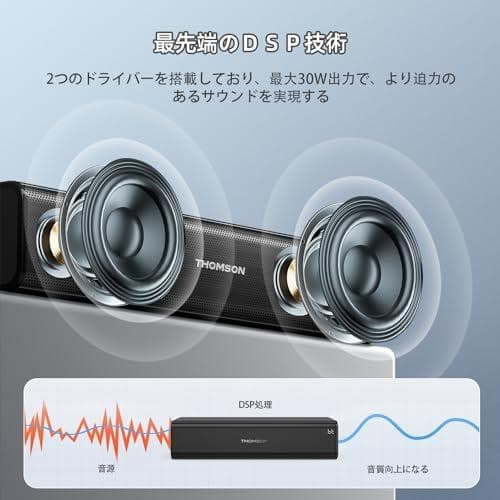 THOMSON カラオケセット 拡声器 ワイヤレスマイク2本付き PAセット p