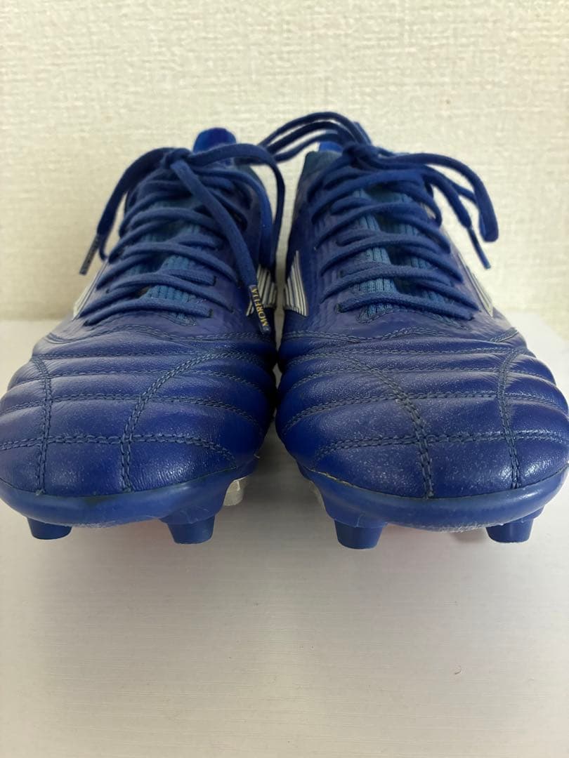 モレリアネオ3β MIX 26センチ　値段交渉⭕️