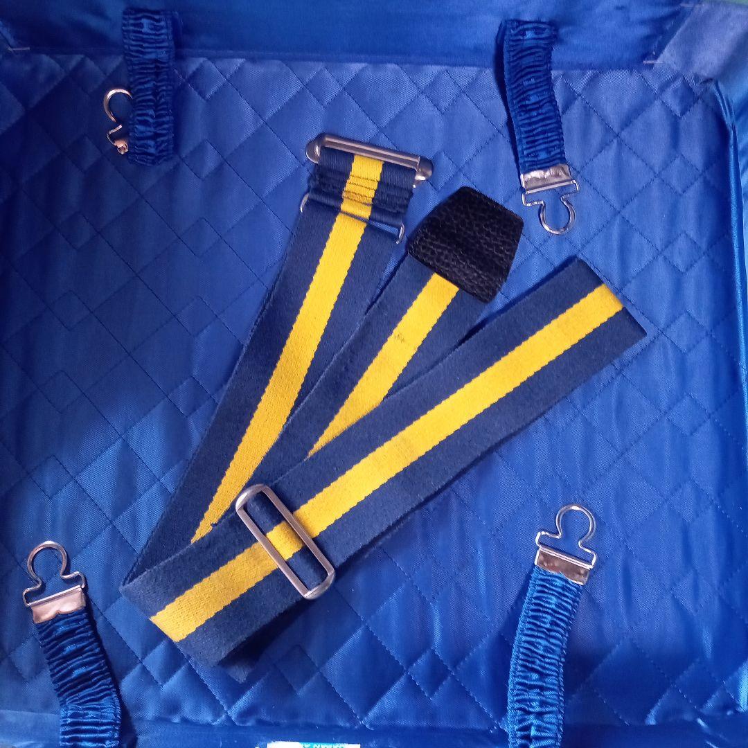 ビンテージ　リシェトランクケース　E−659