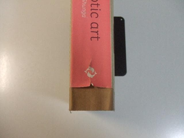 Japanese Erotic Art Shunga 春画 浮世絵