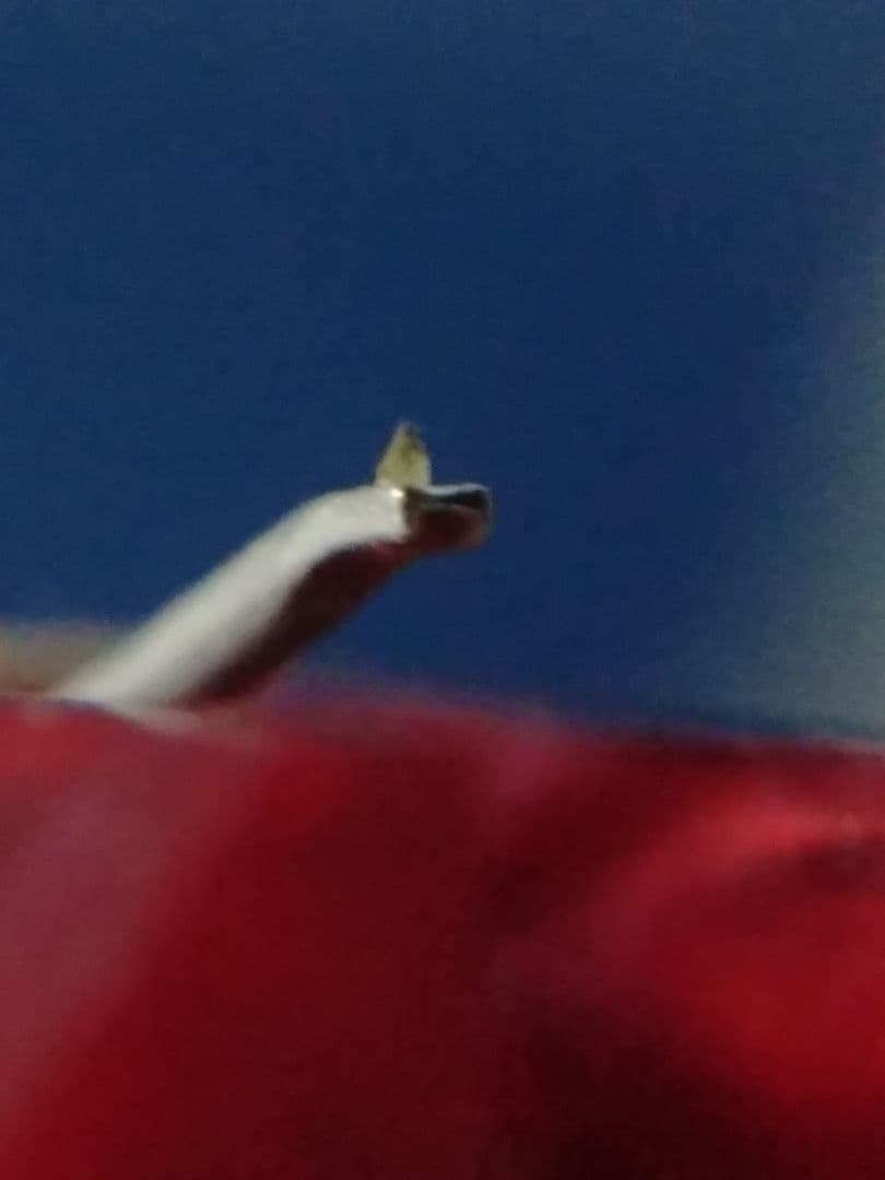 デノン 高出力MCカートリッジ DL-110 音質良好です