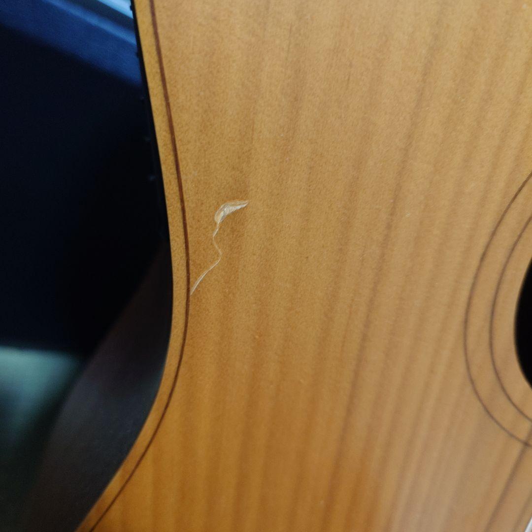 Cole Clark Fat Lady FL1A アコギ　コールクラーク