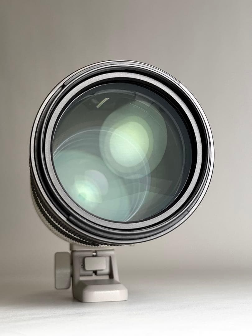 SONY FE 70-200mm F2.8 GM OSS II 望遠ズームレンズ