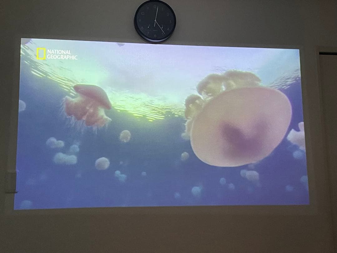 popIn Aladdin2 プロジェクター ドッド抜けなし