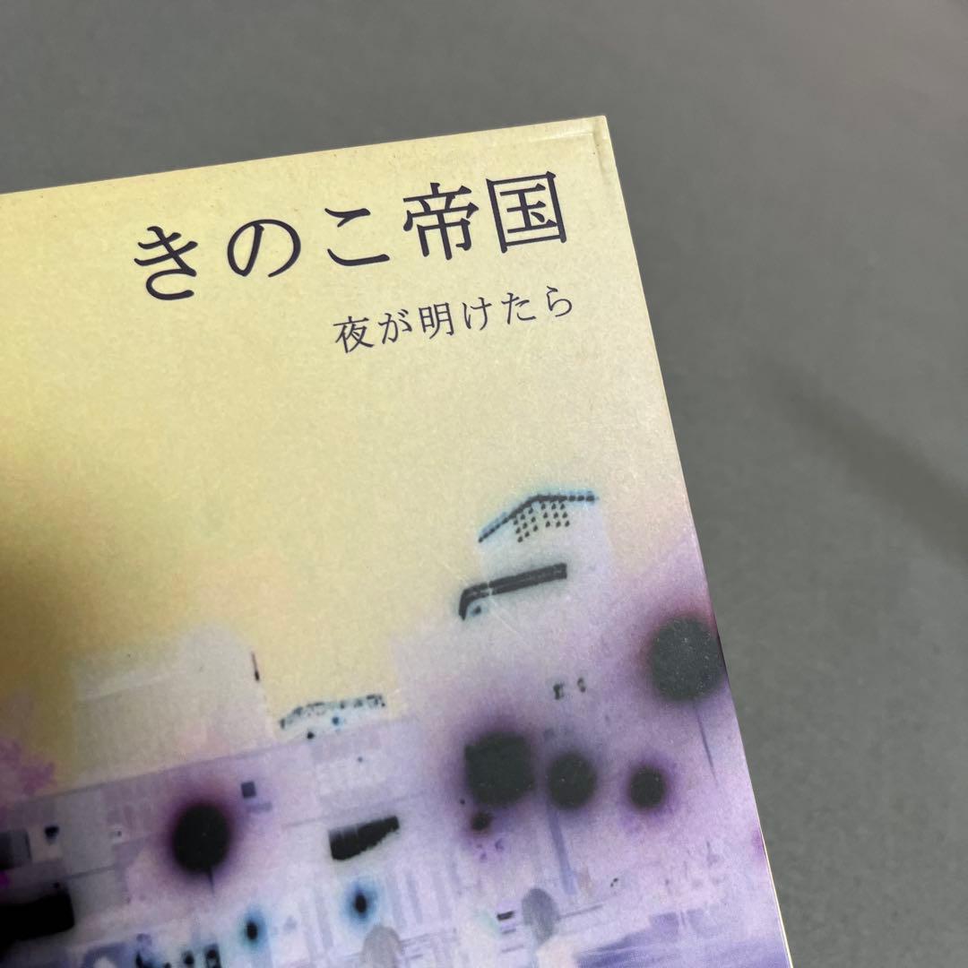 廃盤　きのこ帝国　夜が明けたら