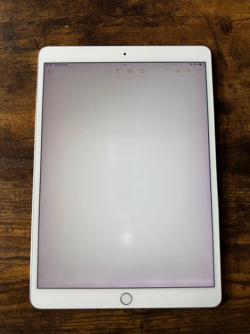 iPad Pro 10.5 256GB シルバー 動作良好 美品