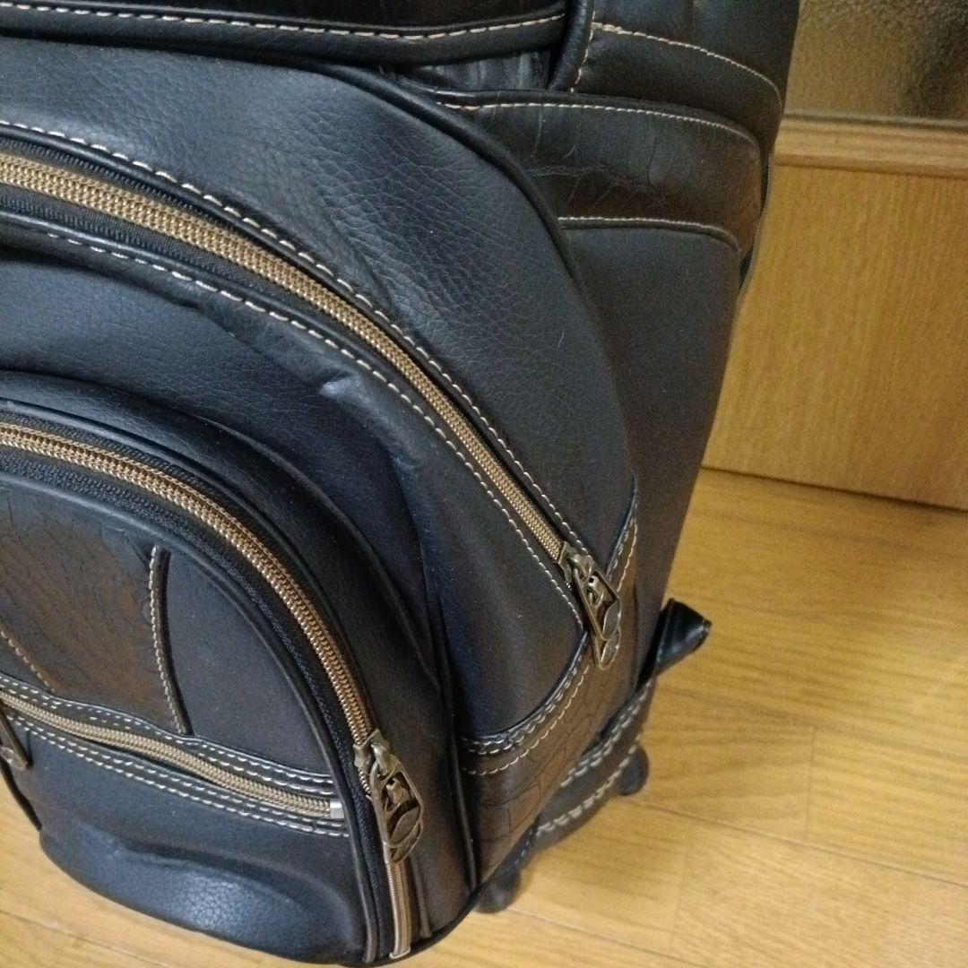 希少 高級 ミズノ グランドモナーク キャディーバッグ