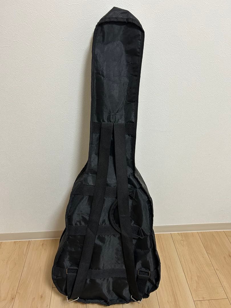 Aria エレクトリックアコースティックギター カバー、ピック付き