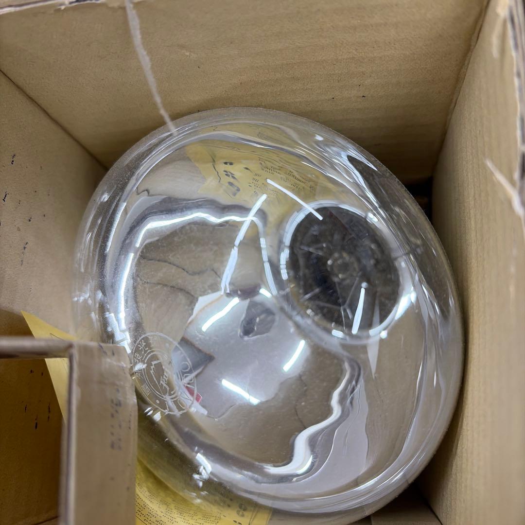 屋外投光球　RF110V100Wガラス電球 6個入り