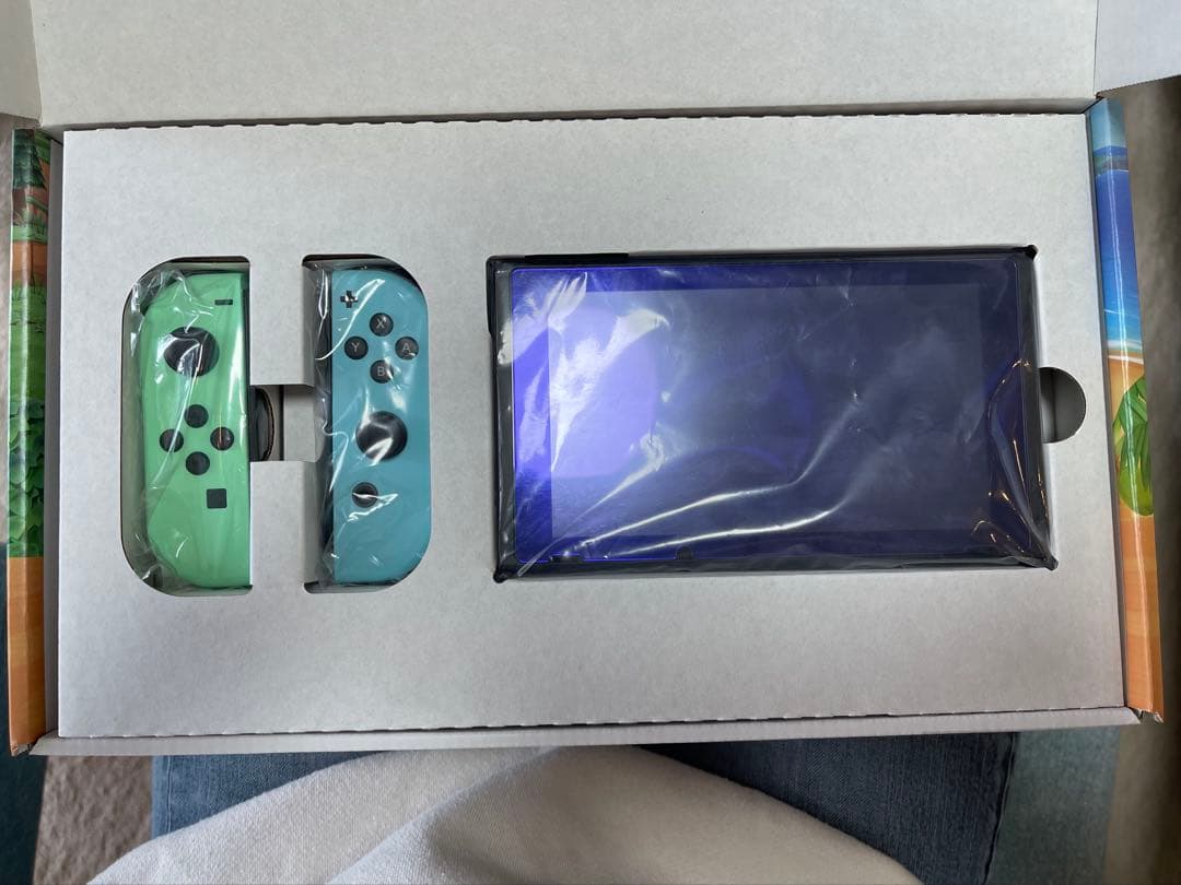 Nintendo Switch あつまれ どうぶつの森セット