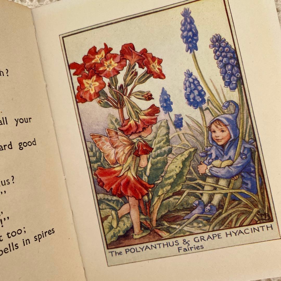 【希少】初版 美品Flower Fairies 庭の花の妖精 洋書 古書