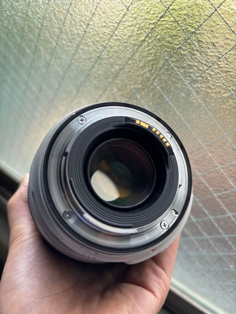 レンズ(ズーム) Canon EF 70-300 F4-5.6 L IS USM