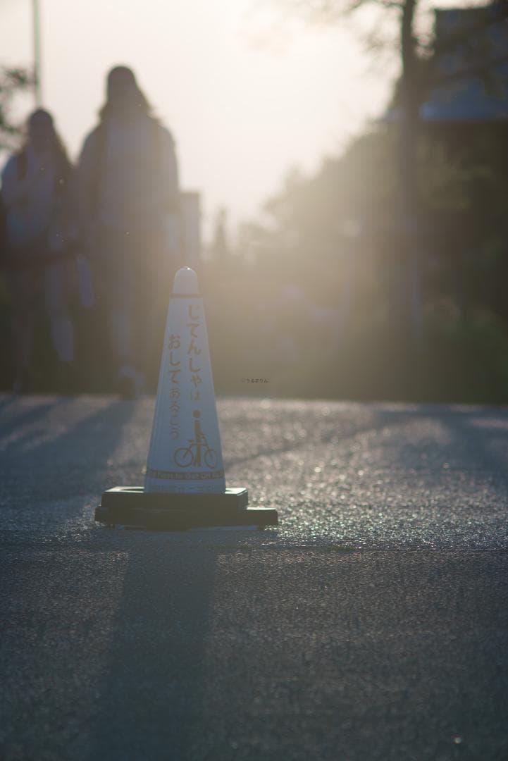 オールド望遠セット！CONTAX Sonnar 135mm＋2倍テレコン