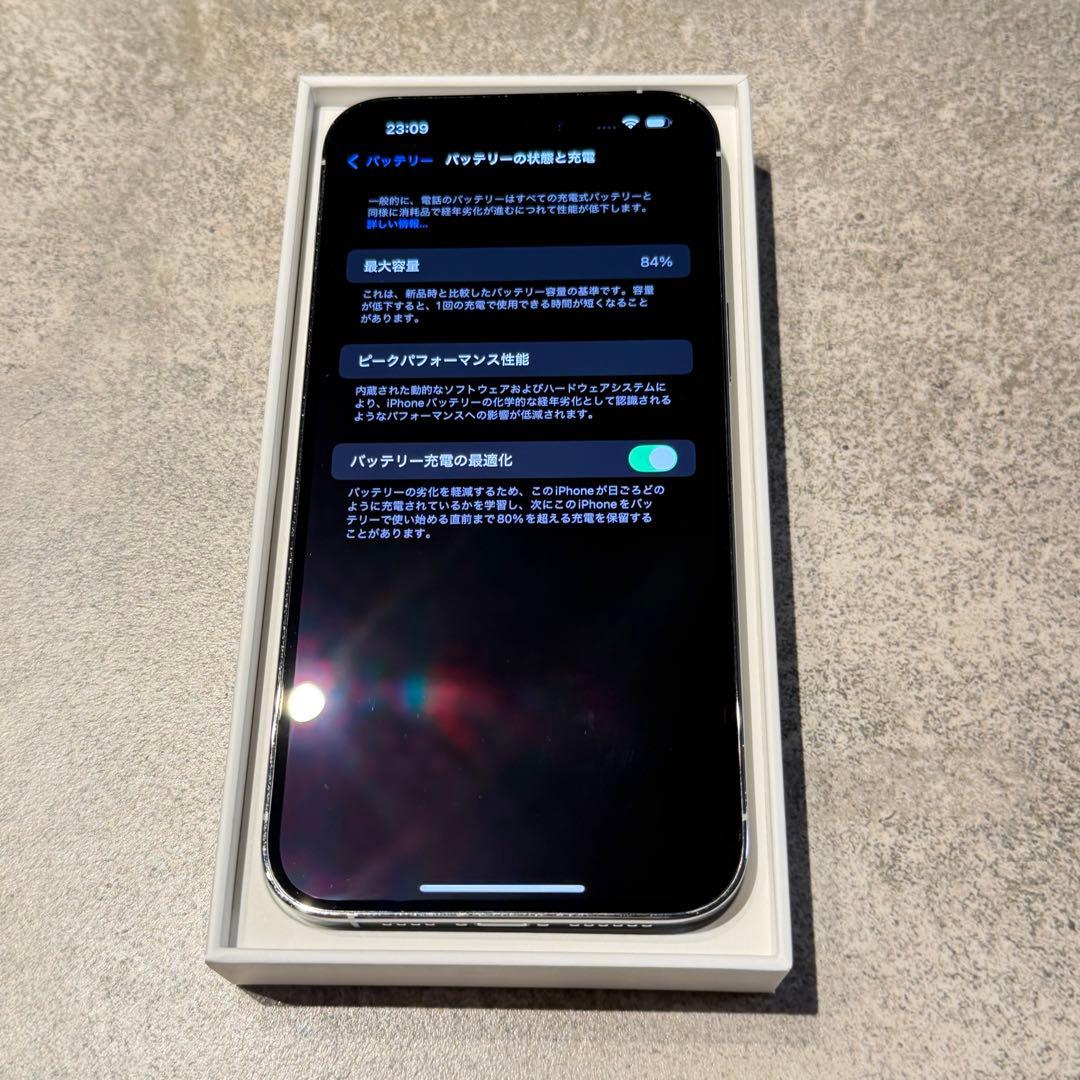Apple iPhone 14 Pro Max 1TB シルバー　※端子不良