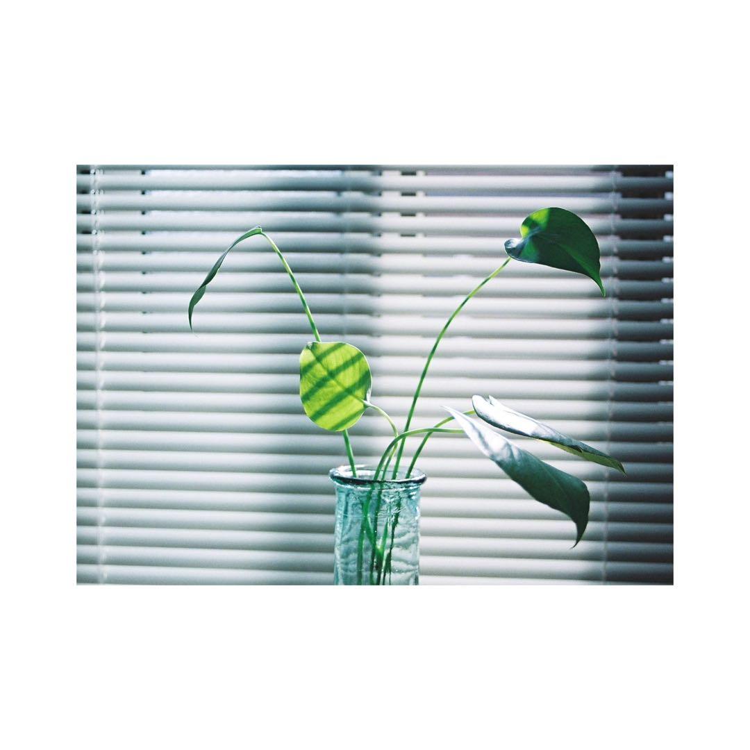 ⌘完動品！ 作例あり、電池付き！ Canon EOS kiss Ⅲ USM⌘