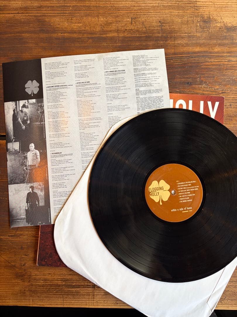 【希少/USオリジナル】Flogging Molly LP original