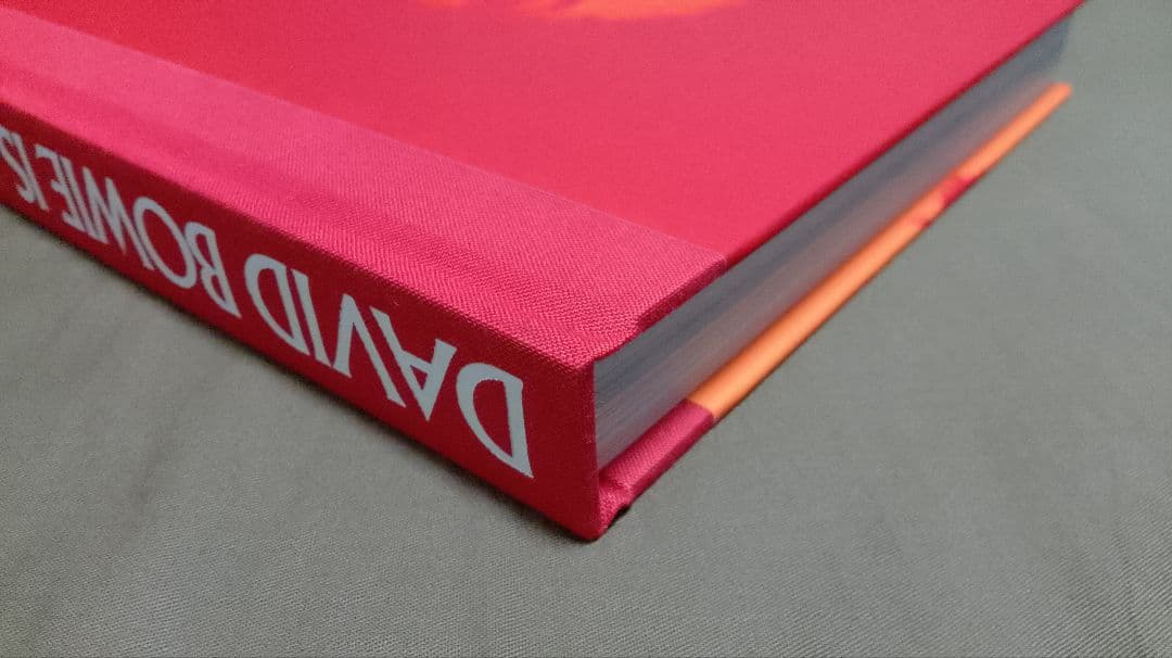 デヴィッド・ボウイ・イズ 復刻版　日本語翻訳版｜David Bowie Is…