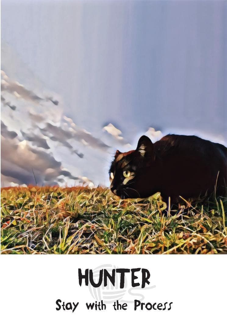 【正規品オラクルカード】新装版✨キュート＆癒し✨可愛い猫たちの知恵のカード