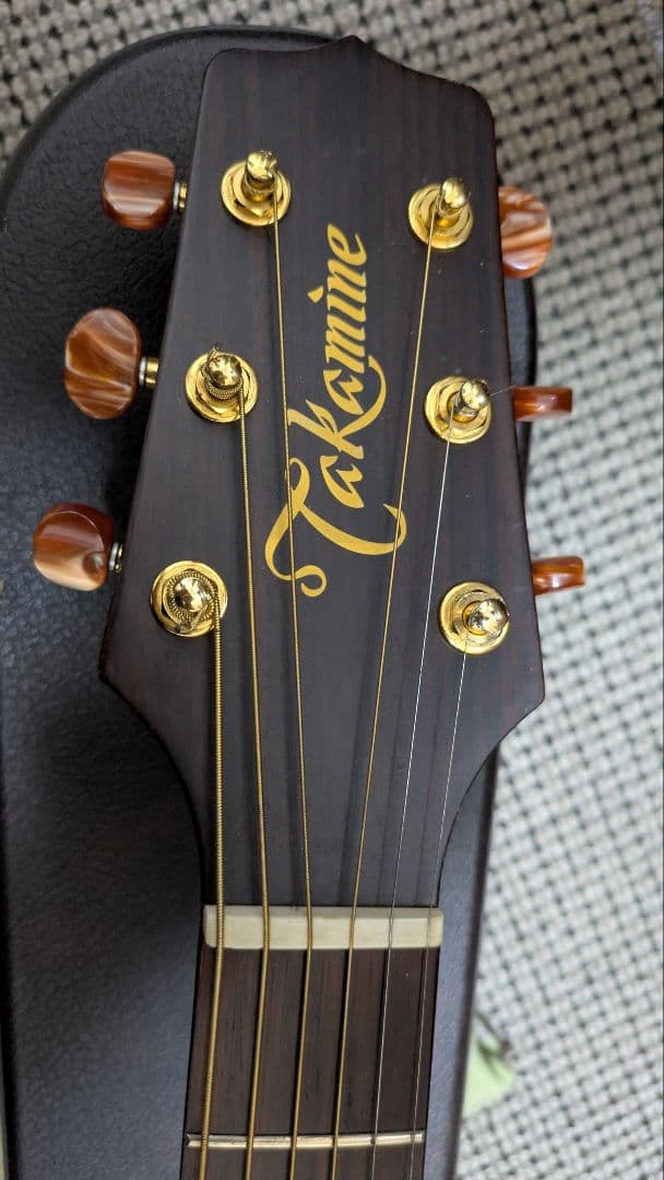 Takamine NPT-012BS【希少・名機】純正ハードケース付